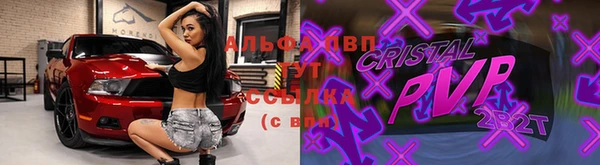 прущие крисы Аркадак