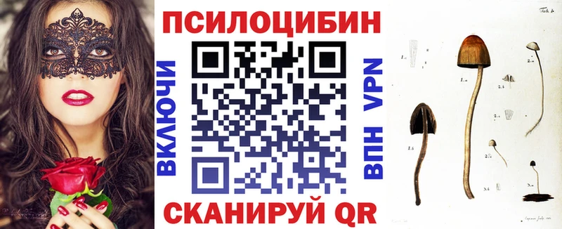 Псилоцибиновые грибы мицелий Абакан