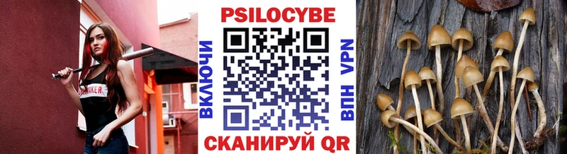 Псилоцибиновые грибы Magic Shrooms Абакан